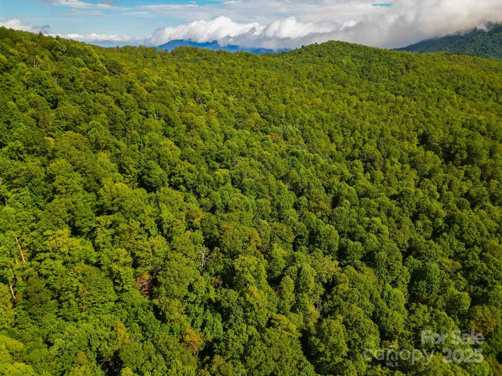99999 Forest Brook Drive Black Mountain, NC 28711