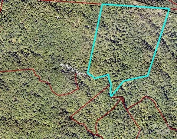 99999 Forest Brook Drive Black Mountain, NC 28711