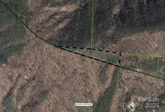 99999 Forest Brook Drive Black Mountain, NC 28711