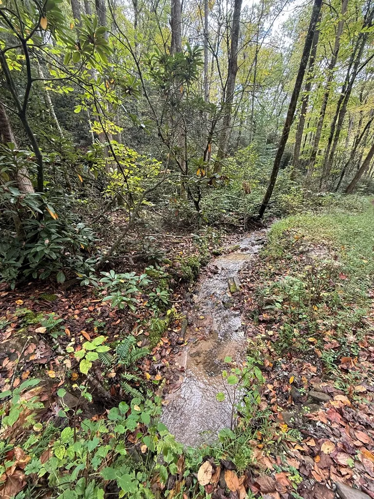 Fox Run Bryson City, NC 28713