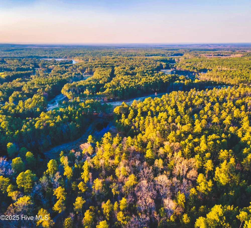 Trt 6 Peach Orchard Road Wagram, NC 28396
