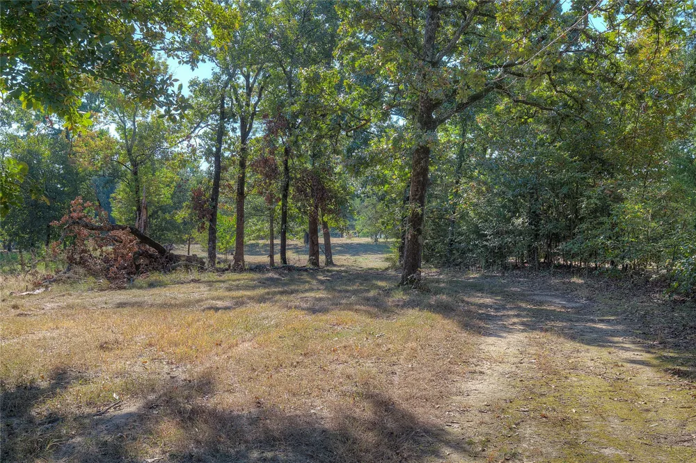 331 County Road 1887 Yantis, TX 75497