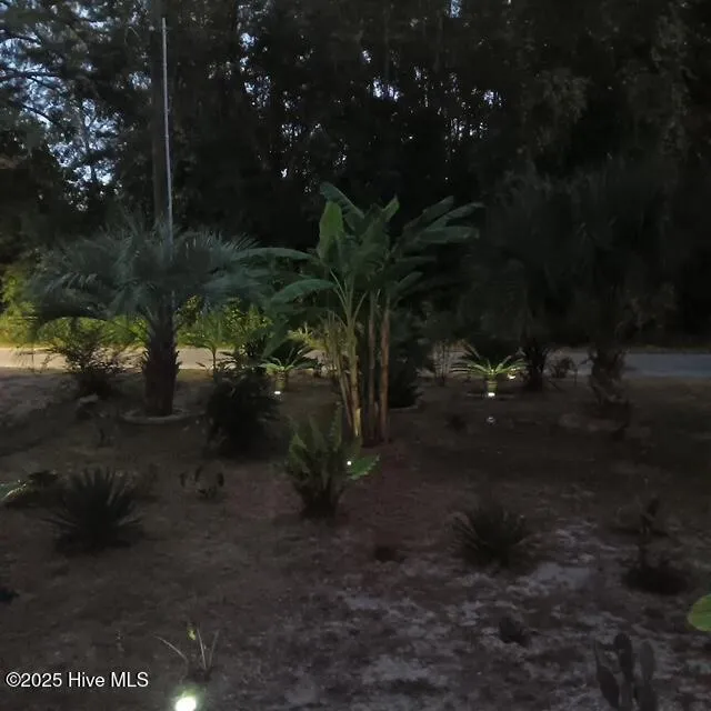 301 E Goodman Street Fair Bluff, NC 28439