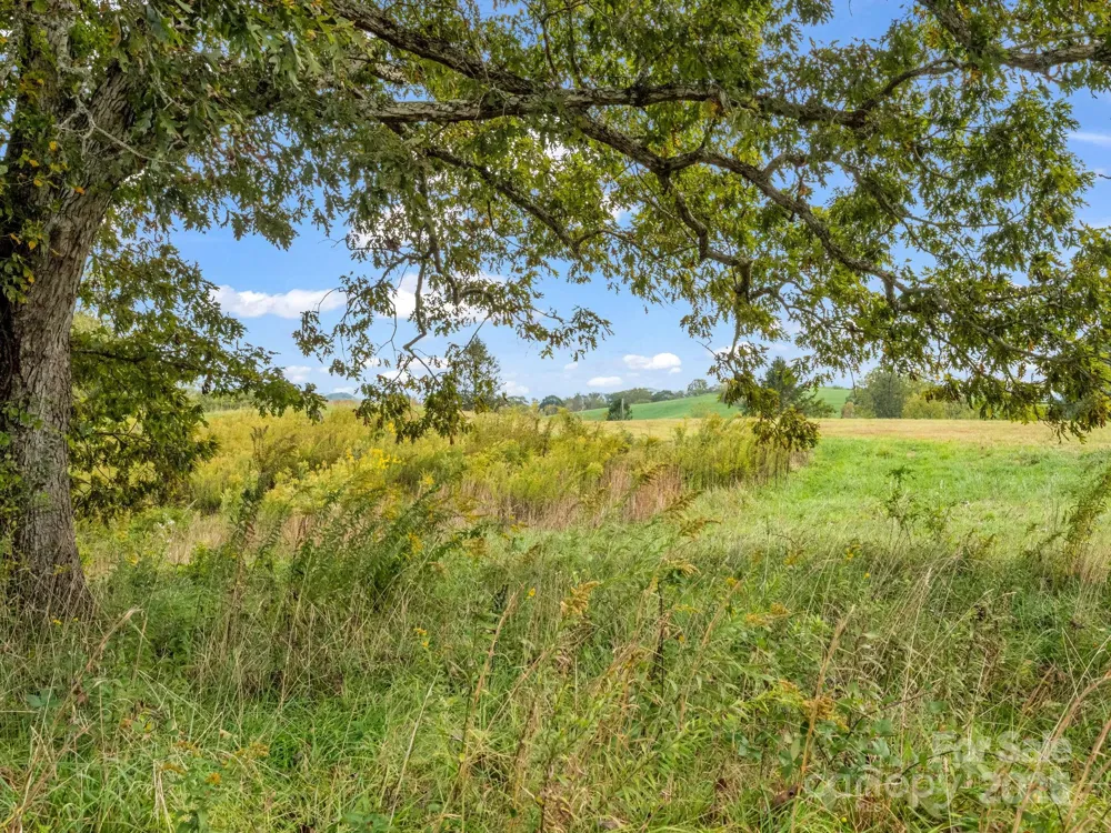 128 Cook Lane Mills River, NC 28759