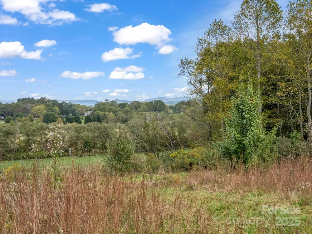 128 Cook Lane Mills River, NC 28759