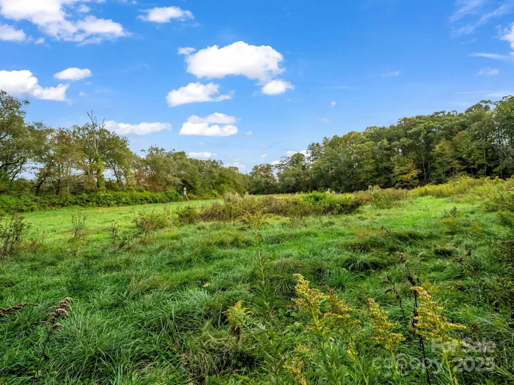 128 Cook Lane Mills River, NC 28759
