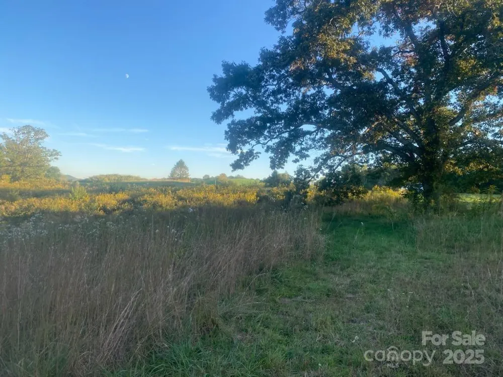 128 Cook Lane Mills River, NC 28759