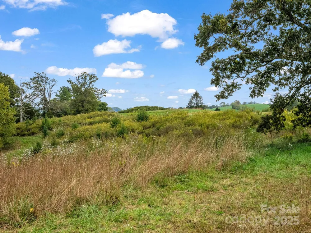 128 Cook Lane Mills River, NC 28759