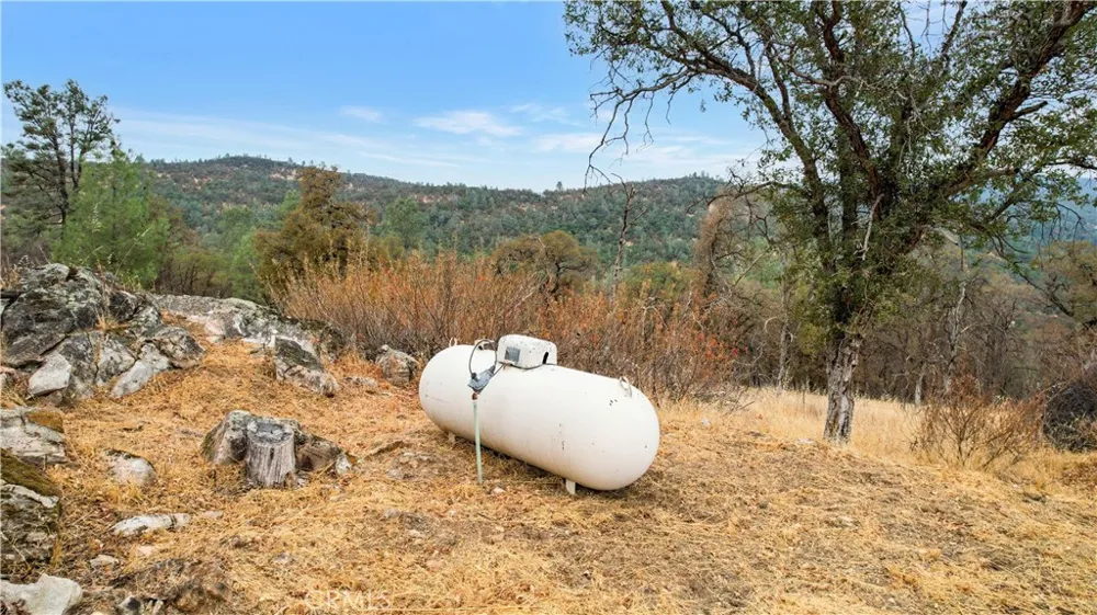 141 Gold Pan Court Bangor, CA 95914