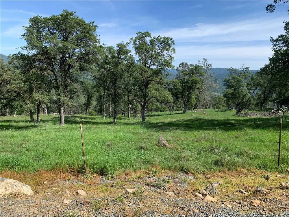 141 Gold Pan Court Bangor, CA 95914
