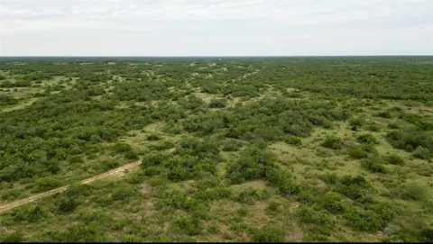 Co Rd. 314 Lot 3521
