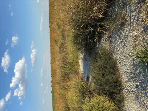 305 County Rd 134