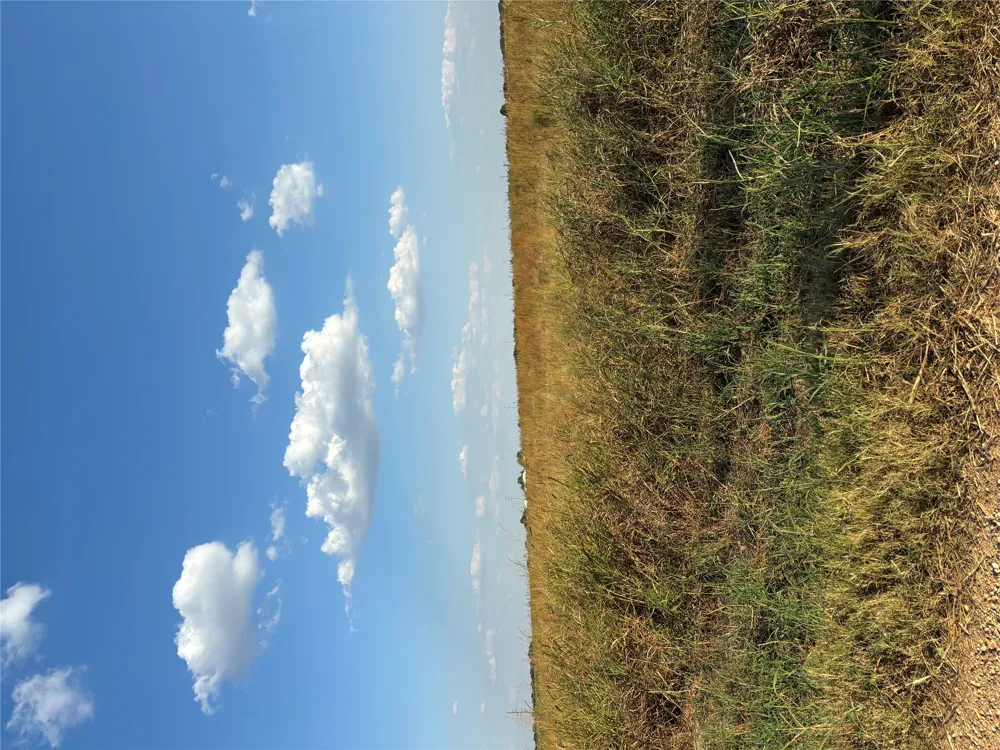 305 County Rd 134 Burlington, TX 76519