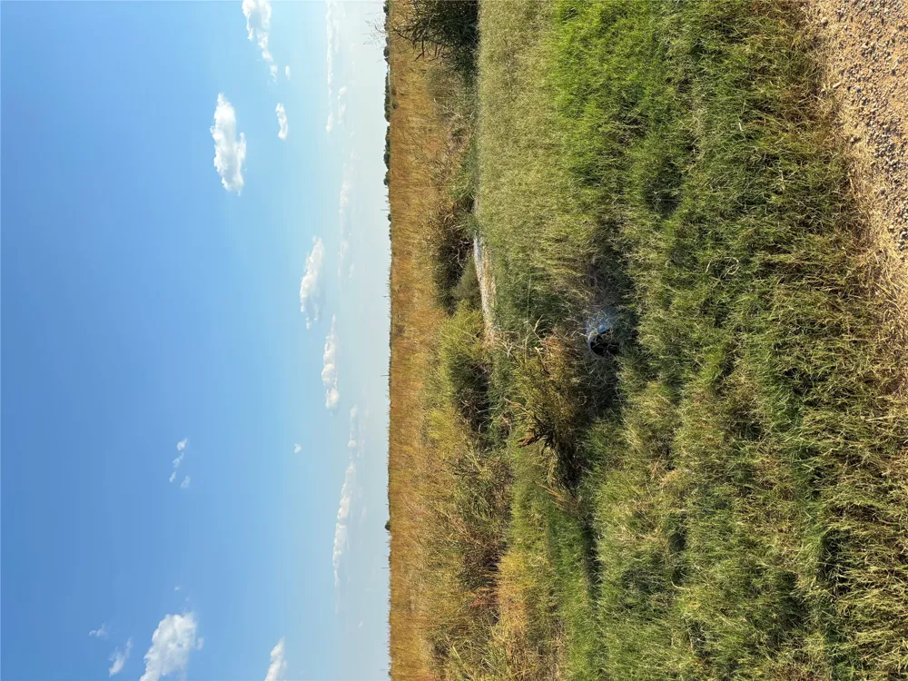 305 County Rd 134 Burlington, TX 76519