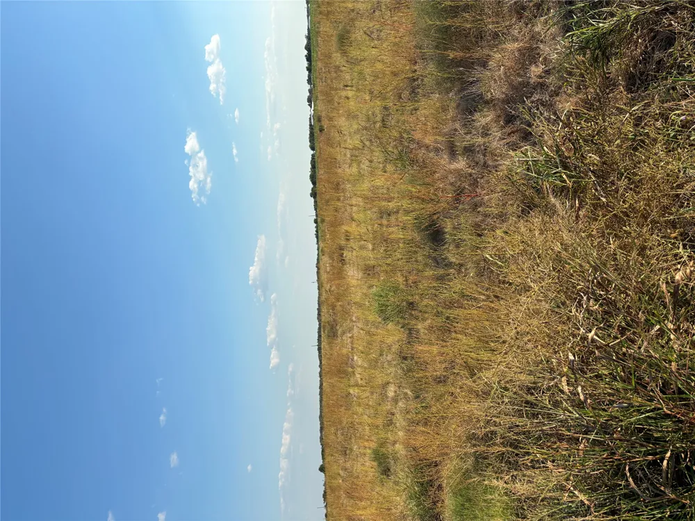305 County Rd 134 Burlington, TX 76519