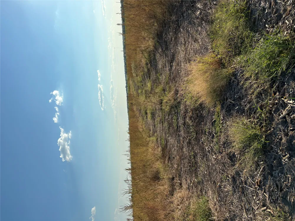 305 County Rd 134 Burlington, TX 76519