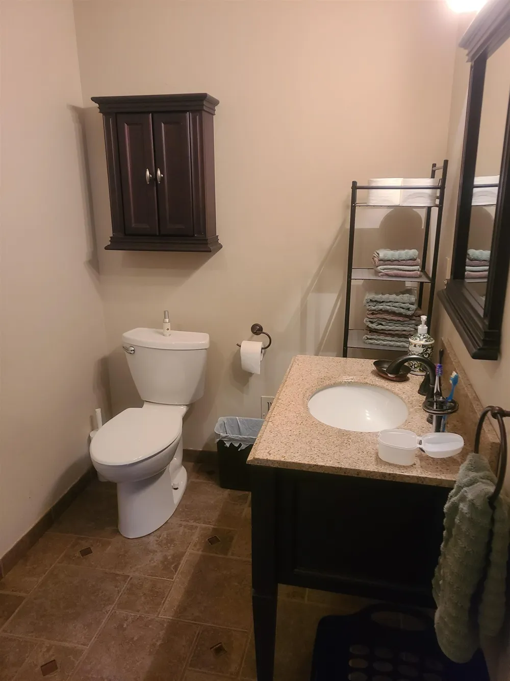 4524 Evergreen Drive Greenbush Township, MI 48738