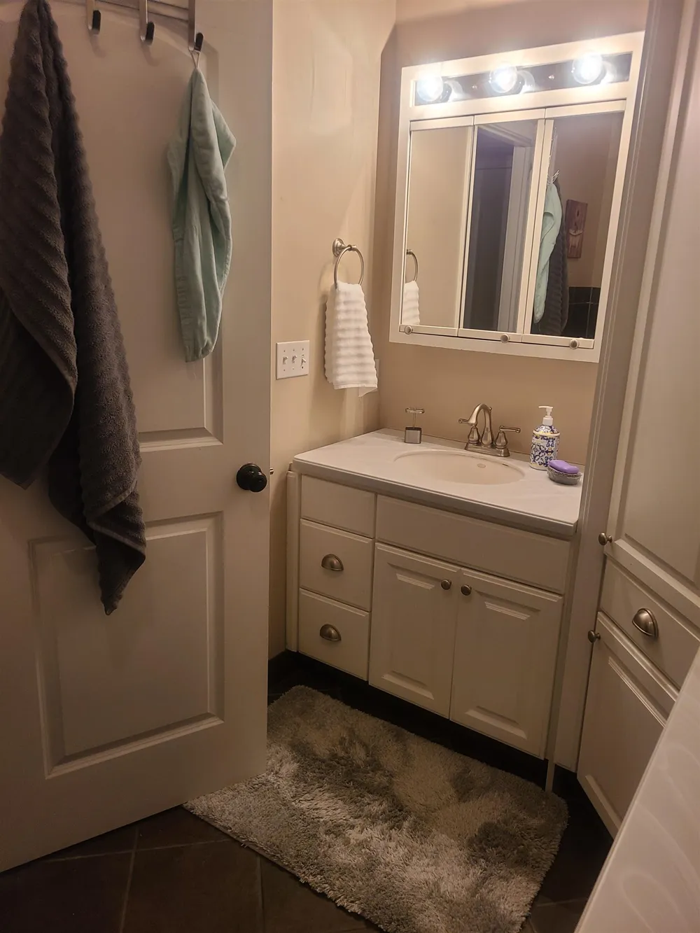 4524 Evergreen Drive Greenbush Township, MI 48738