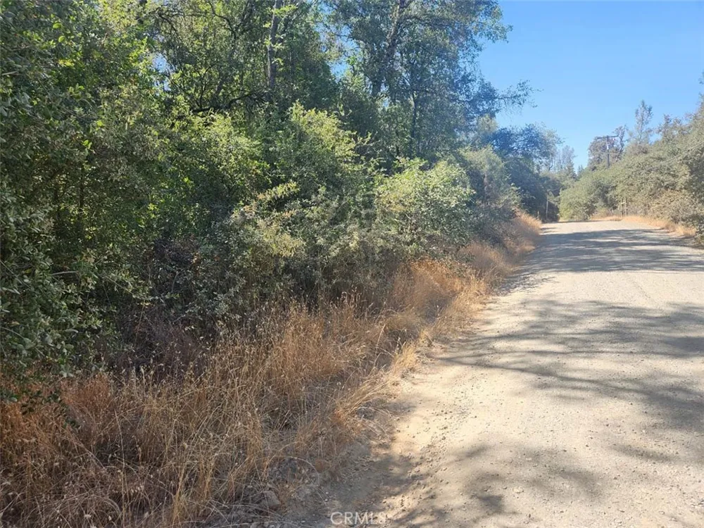 Texas Hill Road Oregon House, CA 95962