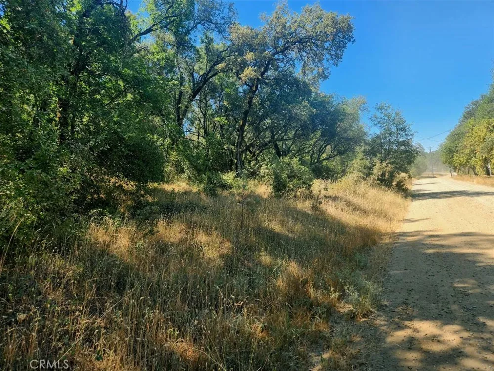 Texas Hill Road Oregon House, CA 95962