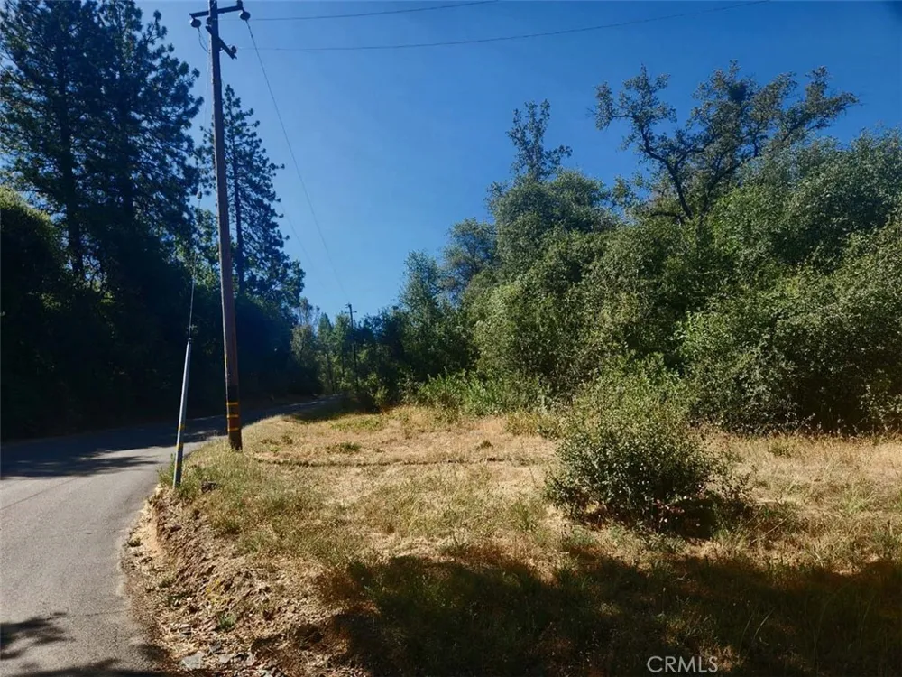 Texas Hill Road Oregon House, CA 95962