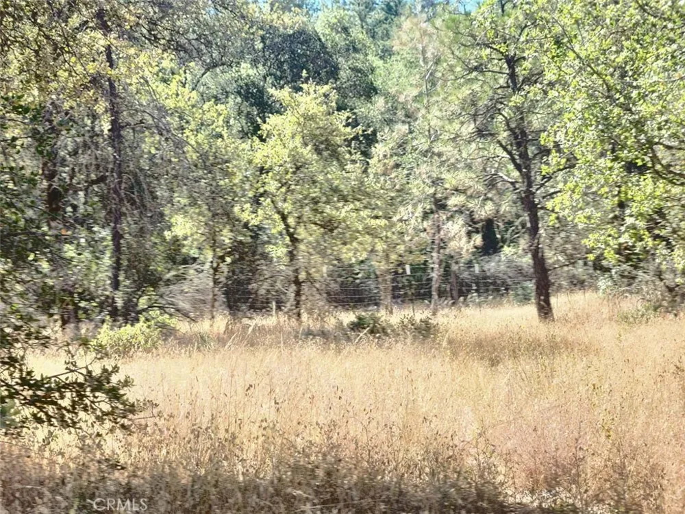 Texas Hill Road Oregon House, CA 95962