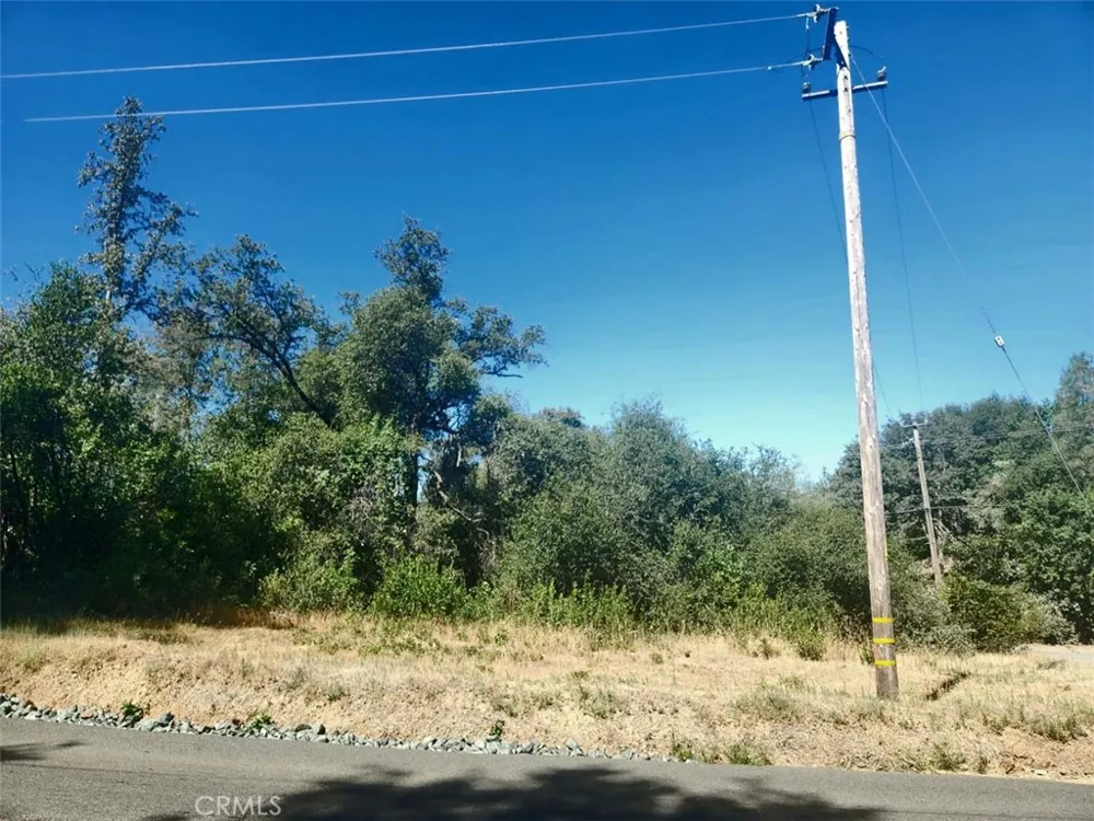Texas Hill Road Oregon House, CA 95962