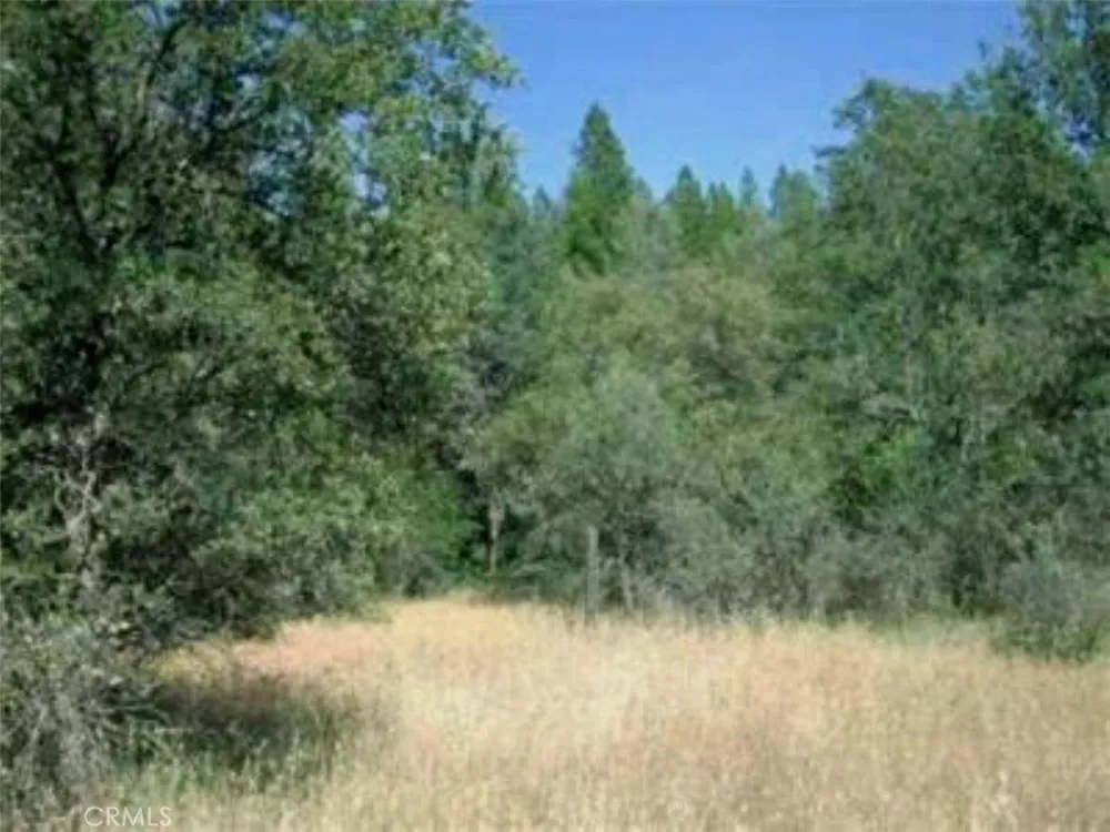 Texas Hill Road Oregon House, CA 95962