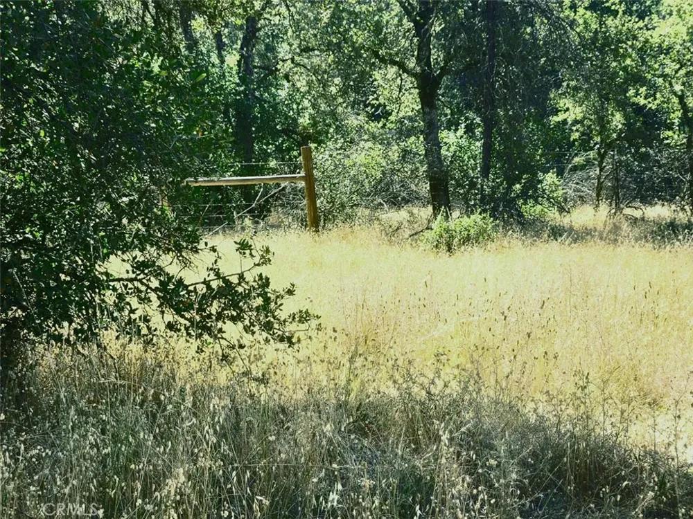 Texas Hill Road Oregon House, CA 95962