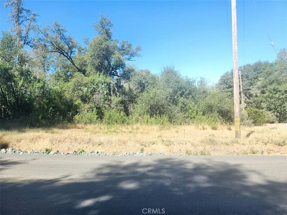 Texas Hill Road Oregon House, CA 95962