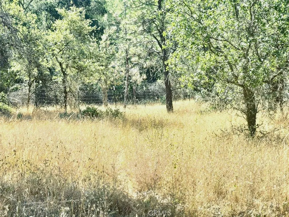 Texas Hill Road Oregon House, CA 95962
