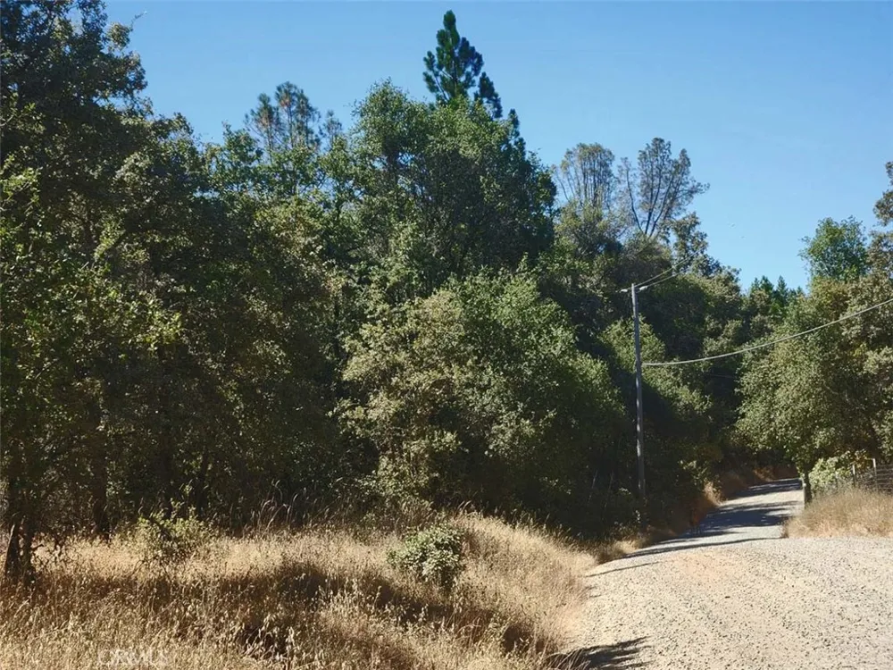 Texas Hill Road Oregon House, CA 95962