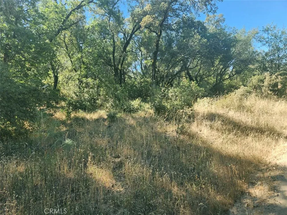 Texas Hill Road Oregon House, CA 95962