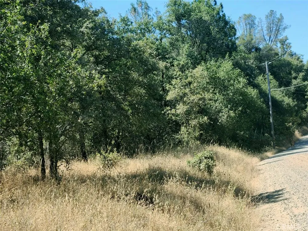 Texas Hill Road Oregon House, CA 95962