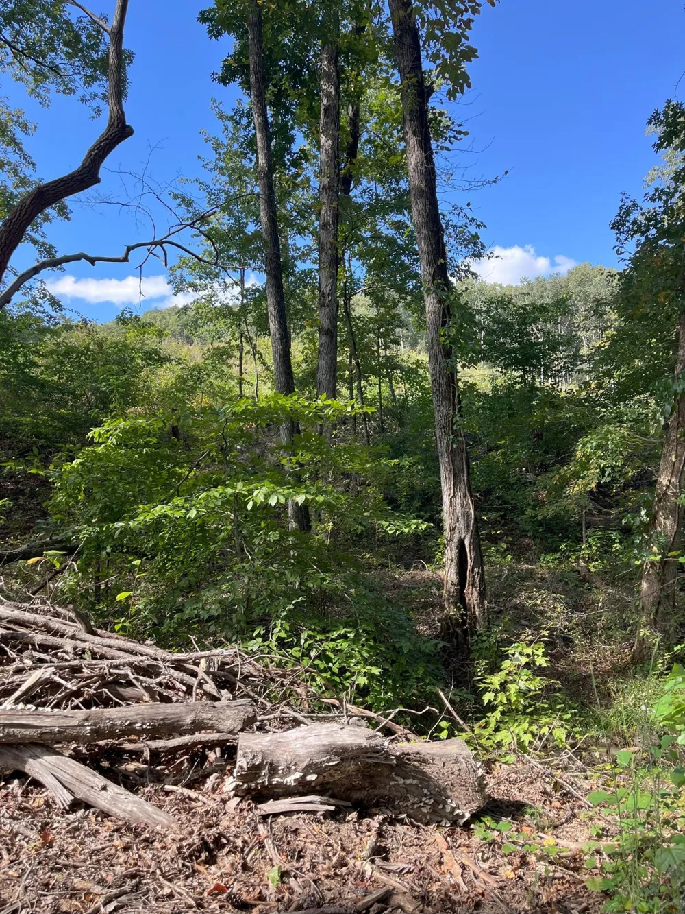 0 N Dug Gap Road Dalton, GA 30720