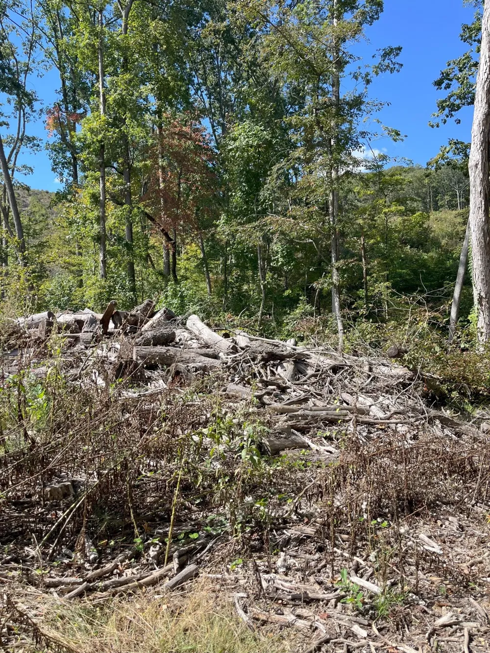 0 N Dug Gap Road Dalton, GA 30720
