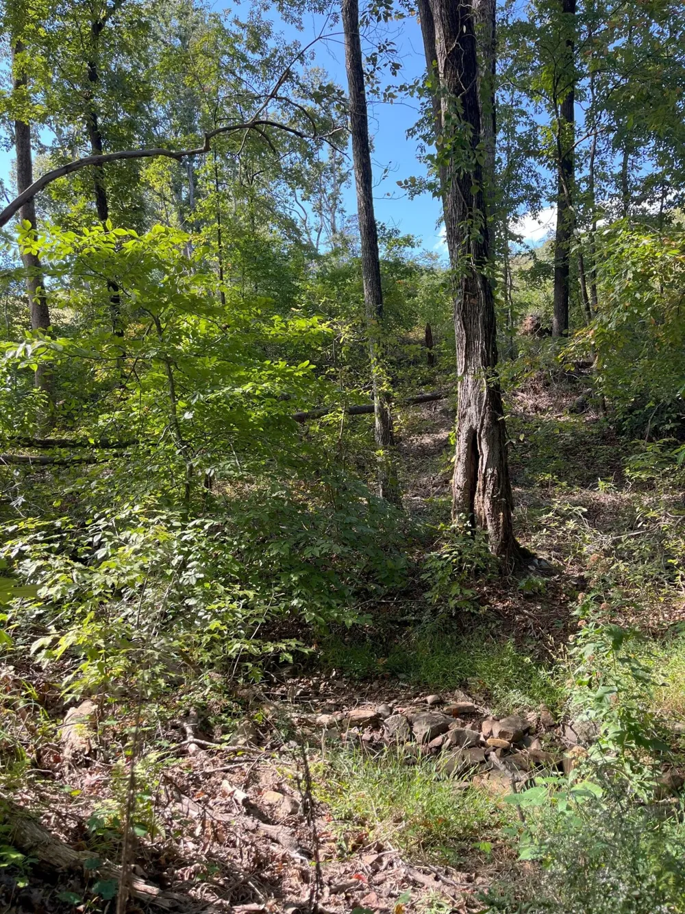 0 N Dug Gap Road Dalton, GA 30720