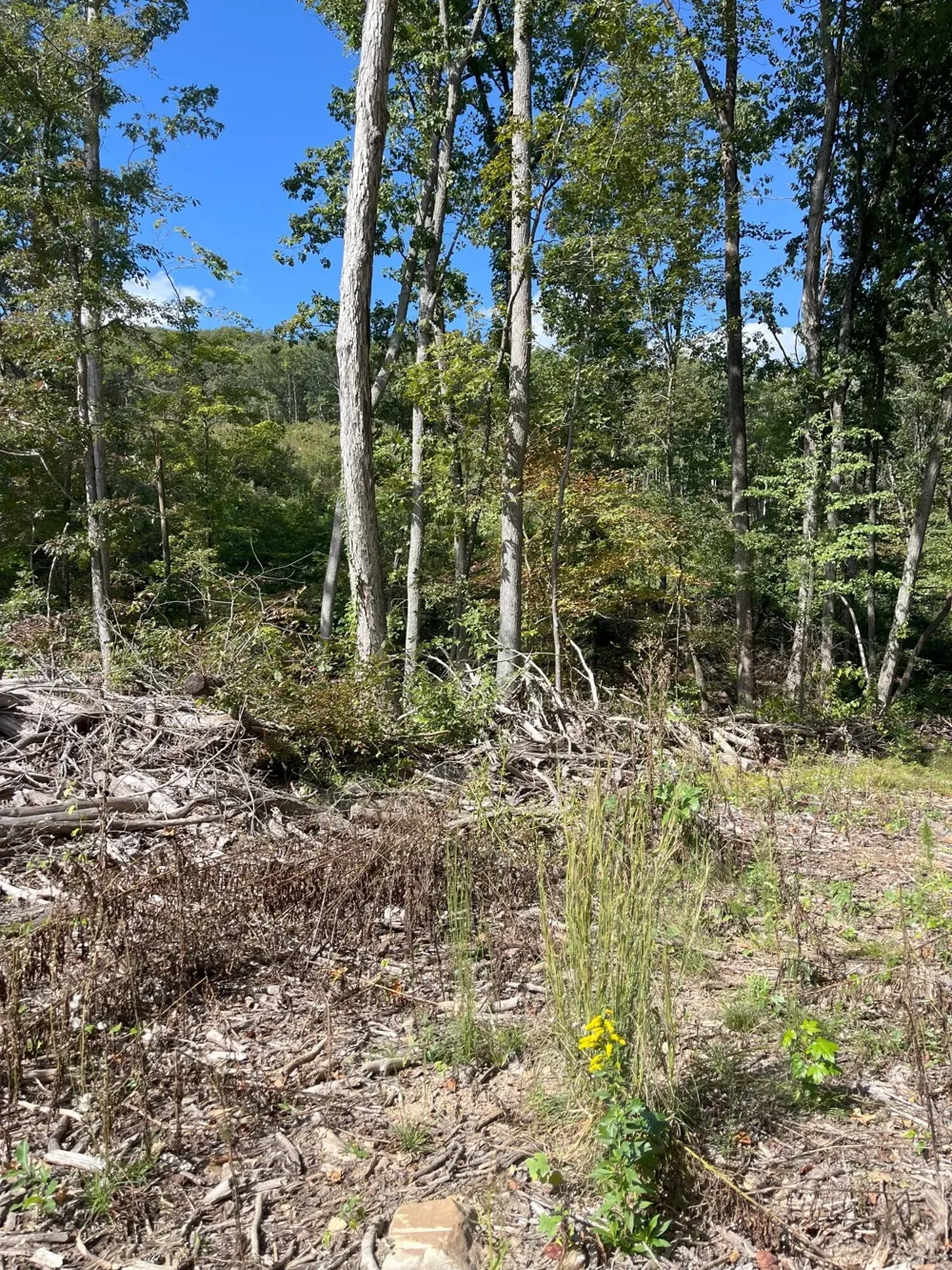 0 N Dug Gap Road Dalton, GA 30720