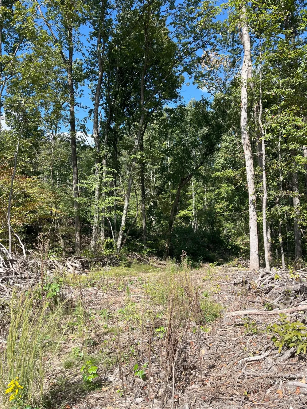 0 N Dug Gap Road Dalton, GA 30720
