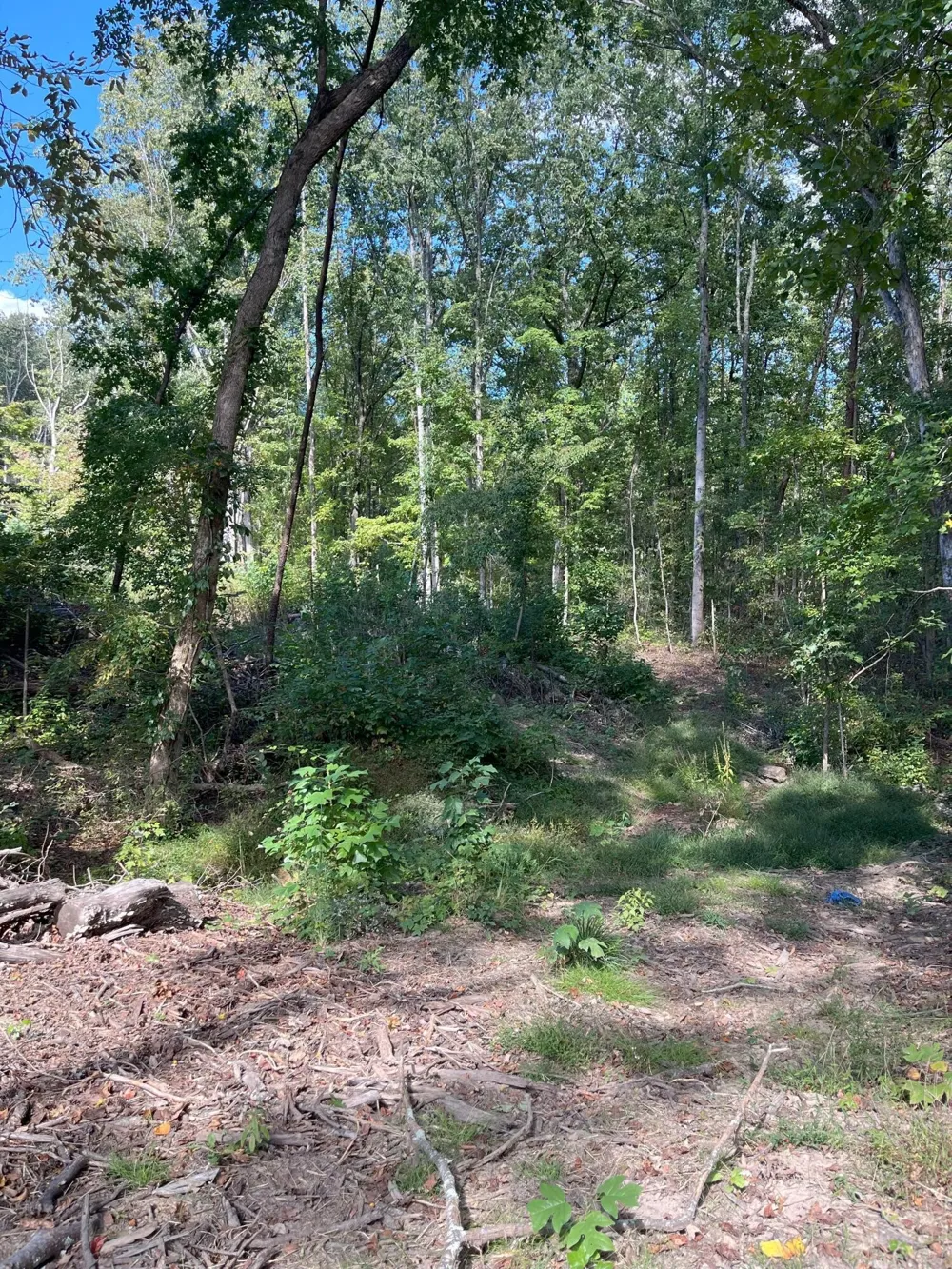 0 N Dug Gap Road Dalton, GA 30720