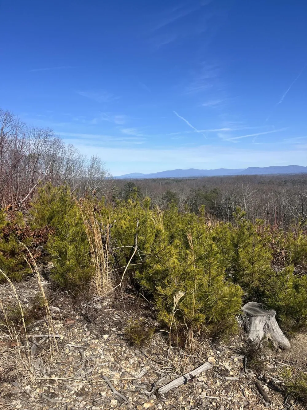 0 N Dug Gap Road Dalton, GA 30720