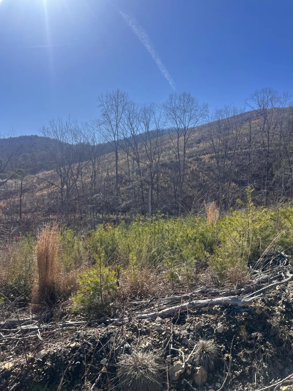 0 N Dug Gap Road Dalton, GA 30720