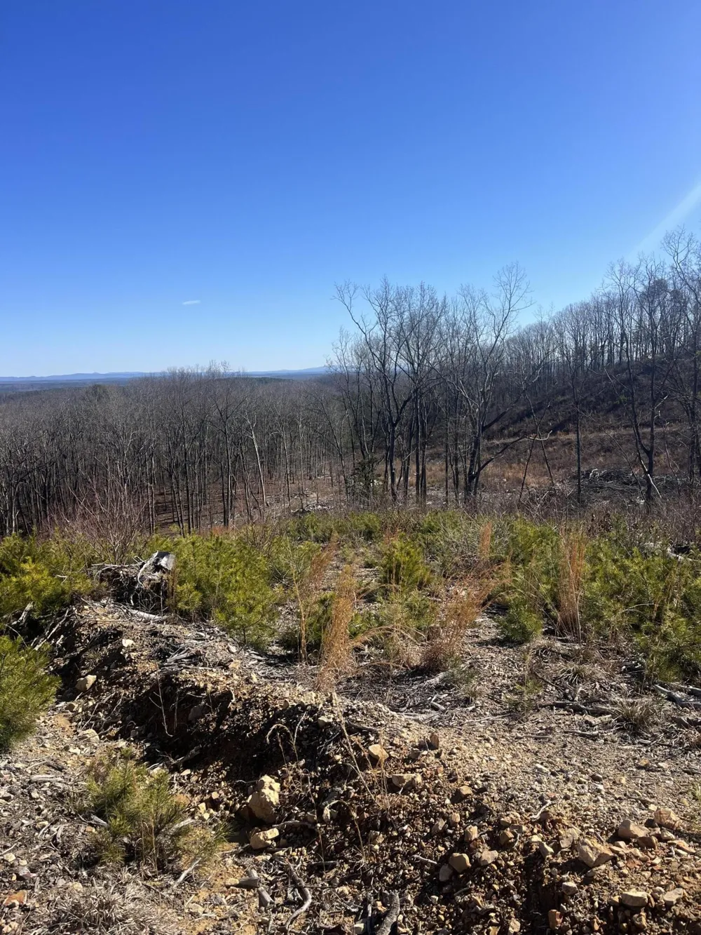 0 N Dug Gap Road Dalton, GA 30720