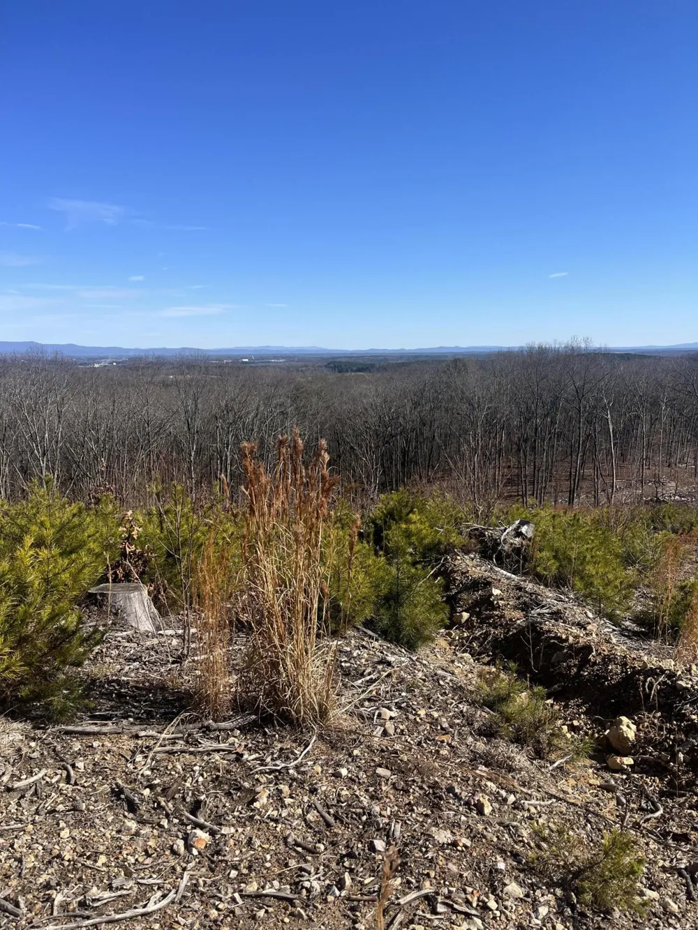 0 N Dug Gap Road Dalton, GA 30720