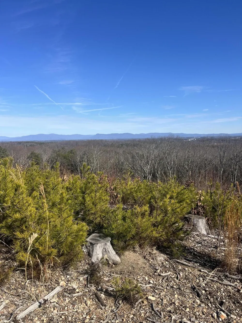 0 N Dug Gap Road Dalton, GA 30720
