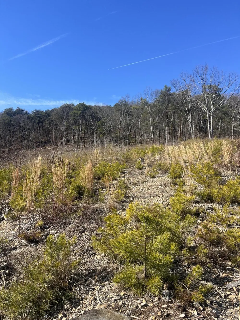 0 N Dug Gap Road Dalton, GA 30720