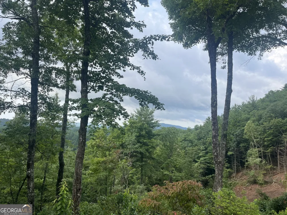 LOT 40 Anderson DR Clayton, GA 30525