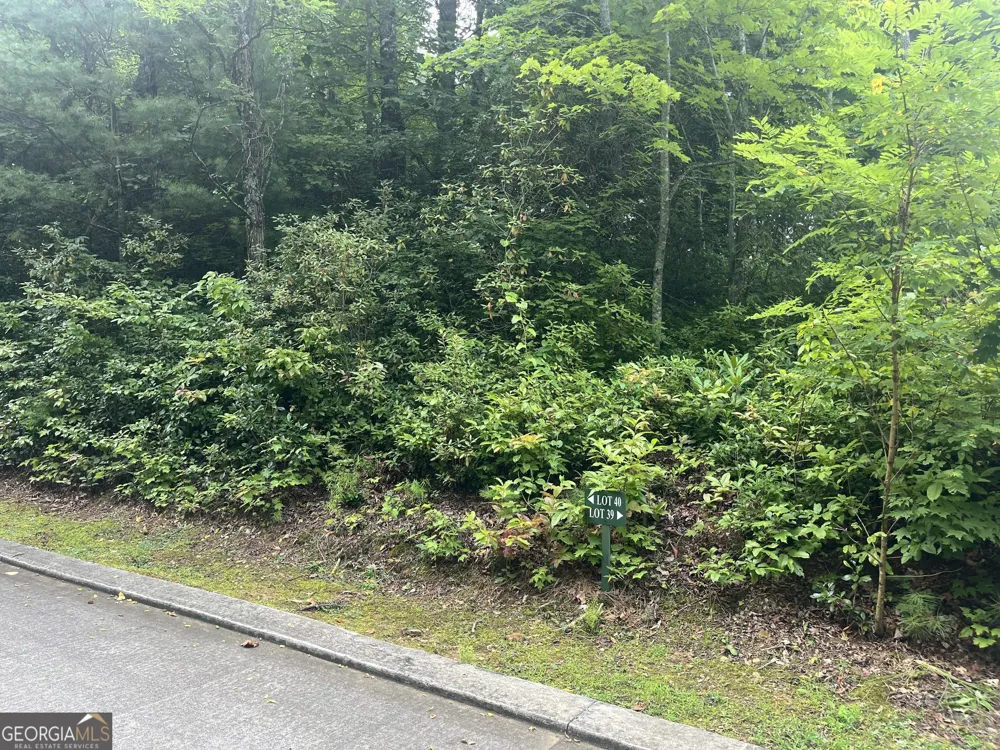 LOT 40 Anderson DR Clayton, GA 30525