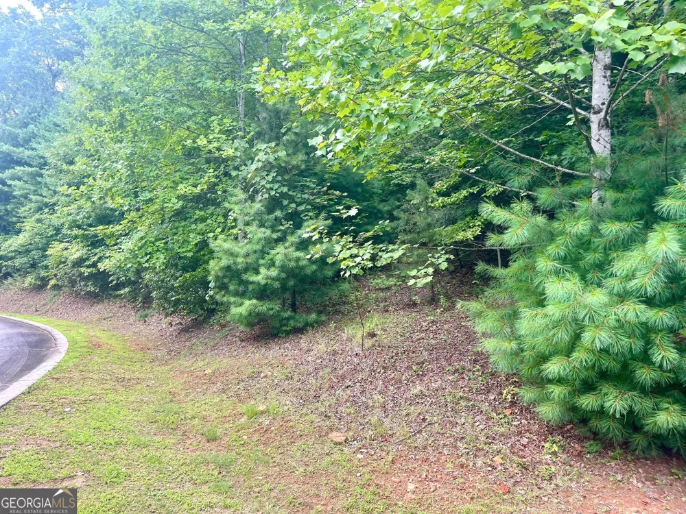 LOT 19 Wagstaff WAY Clayton, GA 30525