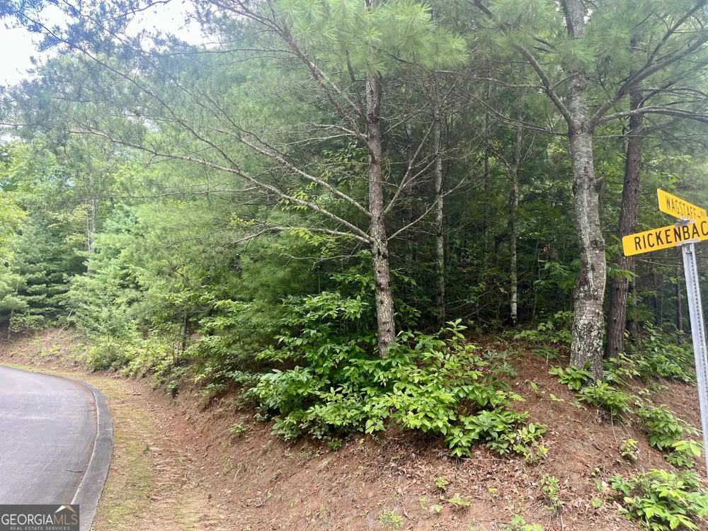 LOT 19 Wagstaff WAY Clayton, GA 30525